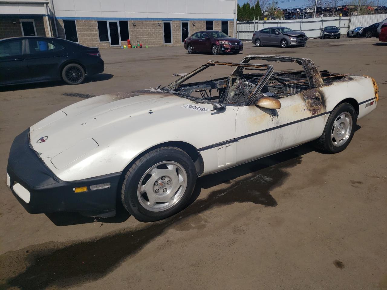 1988 Chevrolet Corvette Copart, lot number: 54240785, vin: 1G1YY2182J5113375. Thumbnail 1