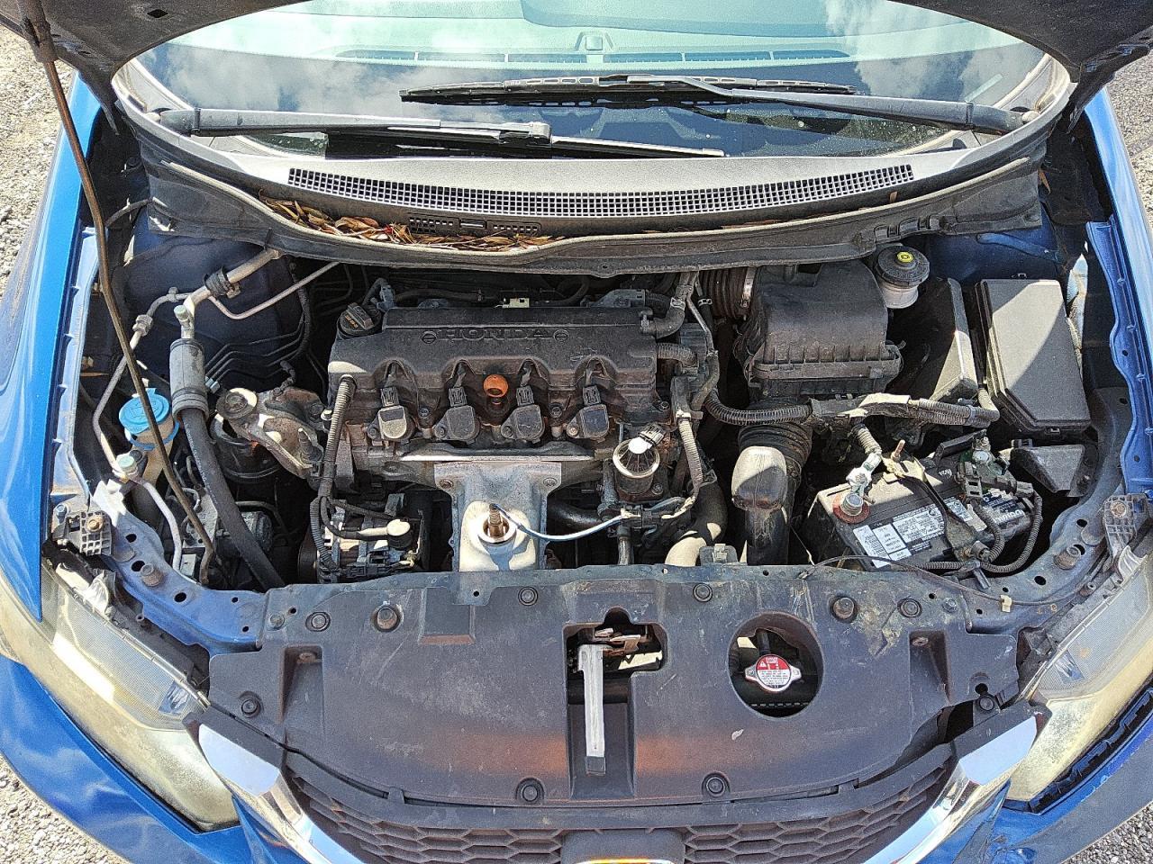 2015 Honda Civic Lx Copart, lot number: 52004115, vin: 19XFB2F50FE033003. Thumbnail 11