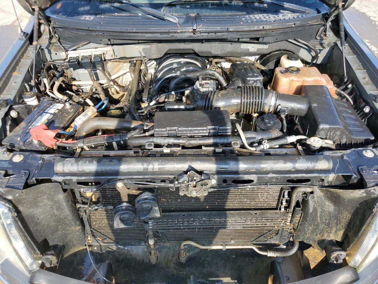 2010 Ford F150 Supercrew Copart, lot number: 55037265, vin: 1FTEW1C89AFD60653. Thumbnail 11