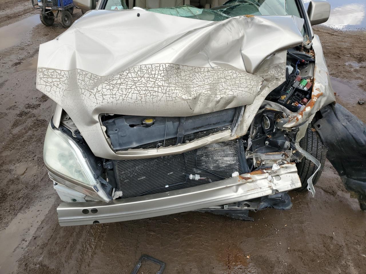 2003 Lexus Rx 300 Copart, lot number: 51695265, vin: JTJHF10U030310130. Thumbnail 12