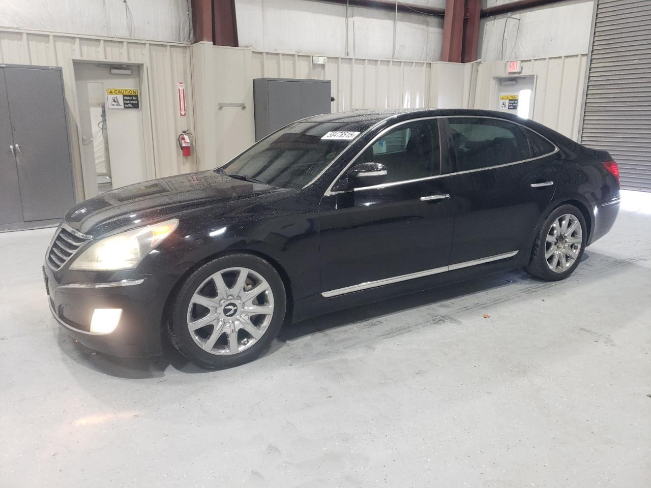 2012 Hyundai Equus Signature Copart, lot number: 58478515, vin: KMHGH4JH4CU057118. Thumbnail 1