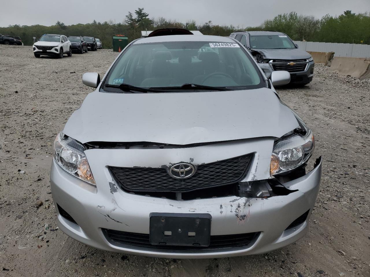 2010 Toyota Corolla Base Copart, lot number: 56249825, vin: 2T1BU4EE9AC258498. Thumbnail 5