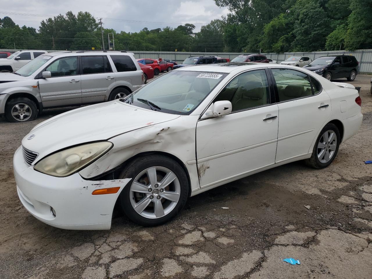 2005 Lexus Es 330 Copart, lot number: 58723555, vin: JTHBA30G955056192. Thumbnail 1