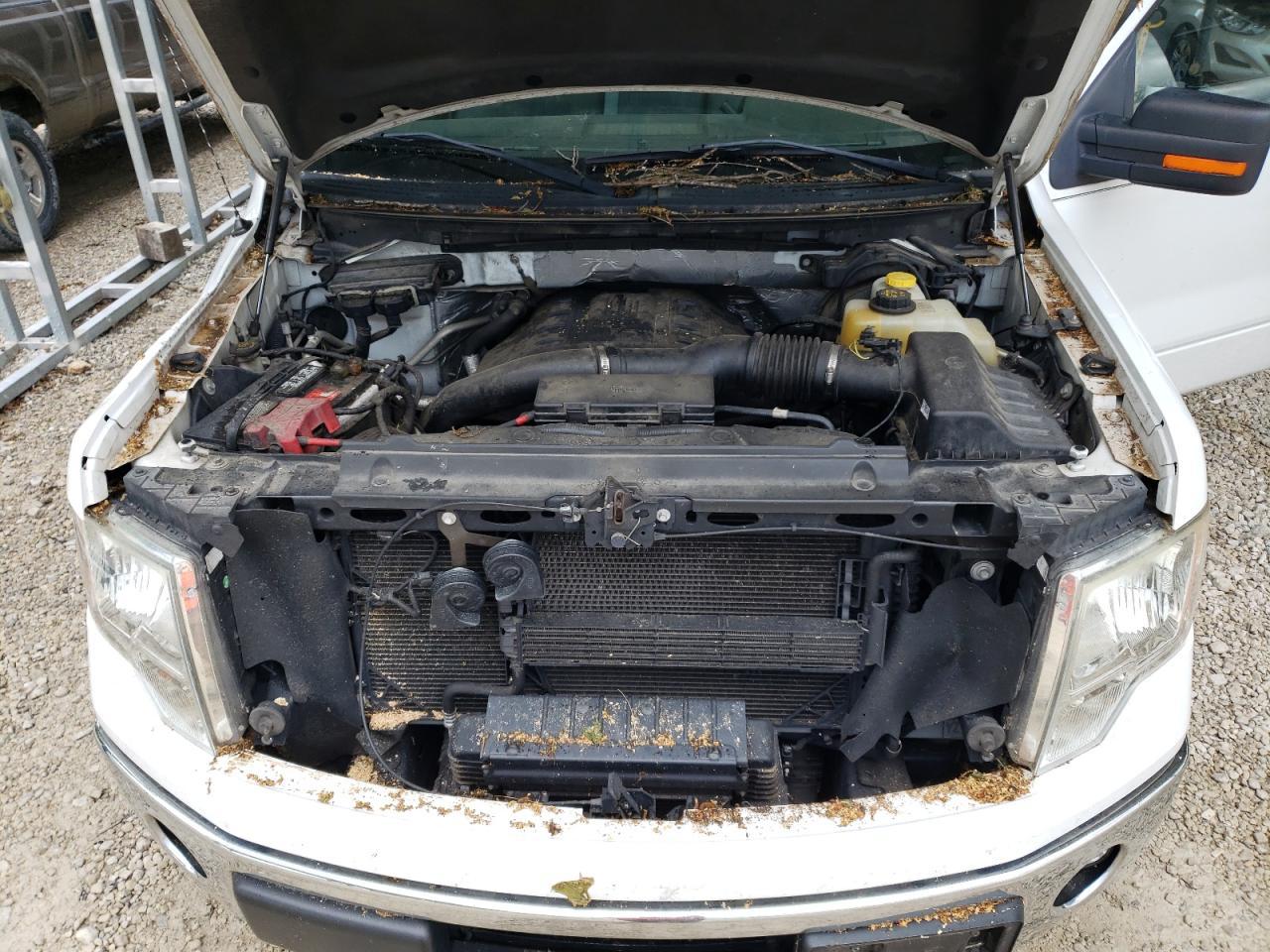 2013 Ford F150 Supercrew Copart, lot number: 56205735, vin: 1FTFW1ET8DKG28643. Thumbnail 11