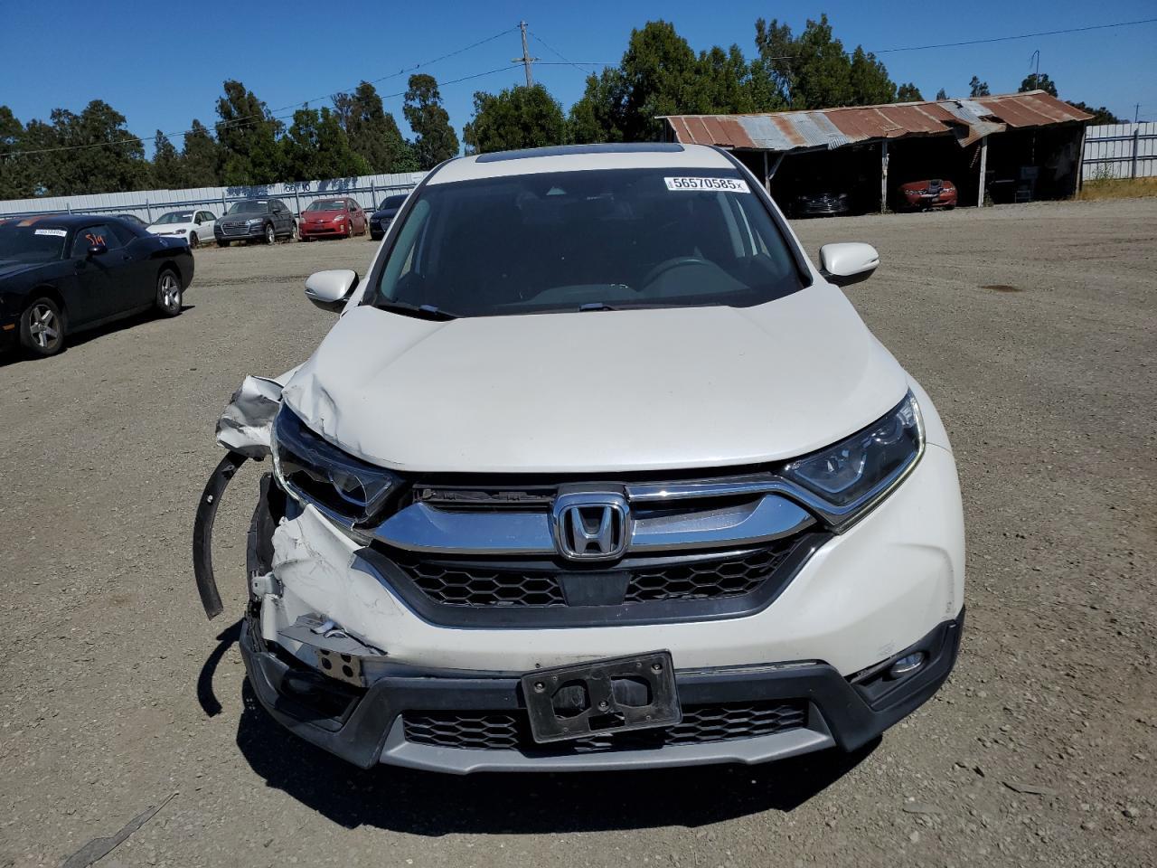 2018 Honda Cr-V Ex Copart, lot number: 56570585, vin: 5J6RW1H5XJL000819. Thumbnail 5