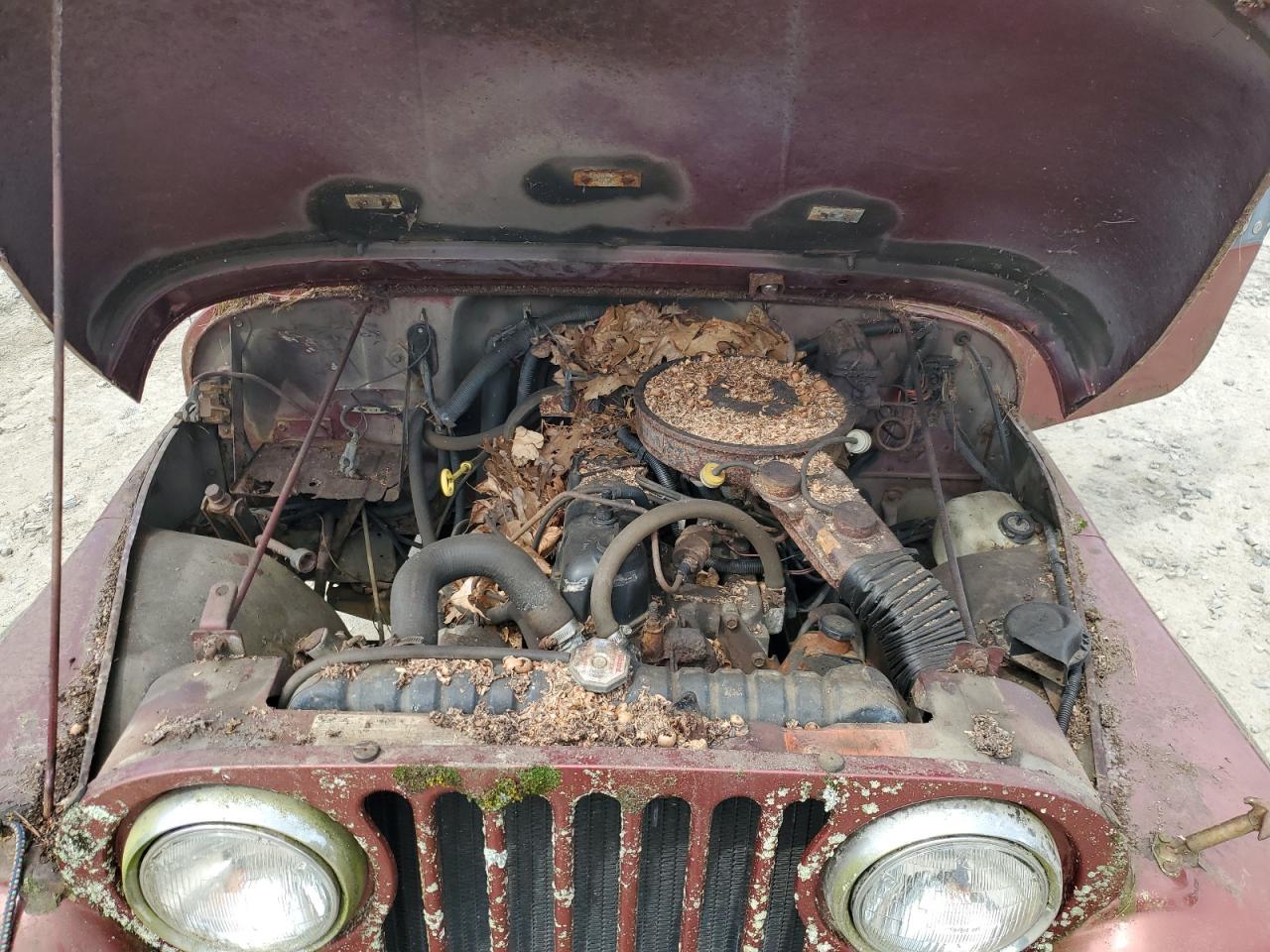 1986 Jeep Jeep Cj7 Copart, lot number: 56864285, vin: 1JCCM87E6GT051558. Thumbnail 11