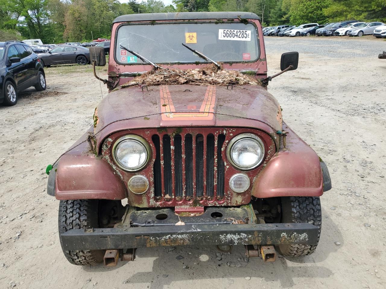 1986 Jeep Jeep Cj7 Copart, lot number: 56864285, vin: 1JCCM87E6GT051558. Thumbnail 5